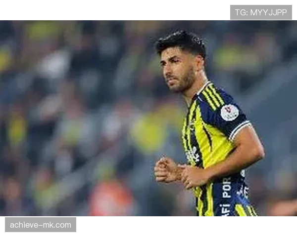 阿森西奥在欧冠中表现稳健，进球集锦引发球迷热情上涨